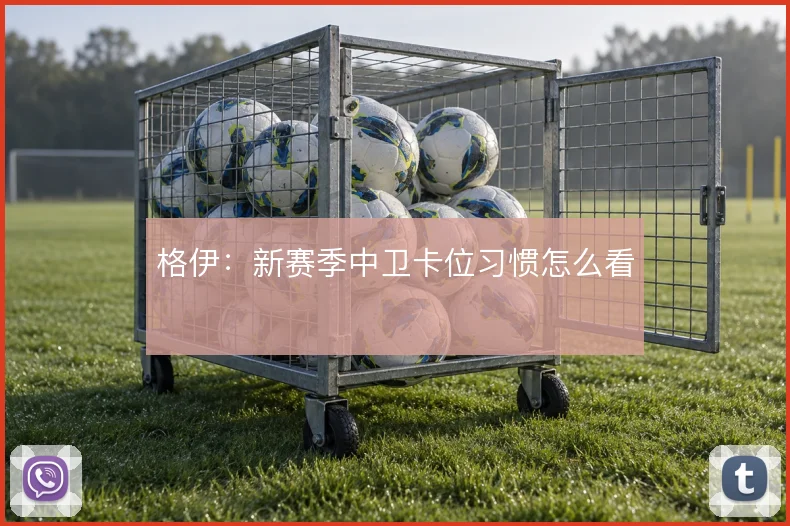 格伊:新赛季中卫卡位习惯怎么看